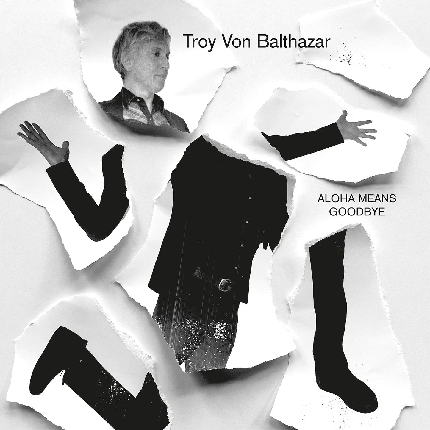 Aloha Means Goodbye - Troy Von Balthazar
