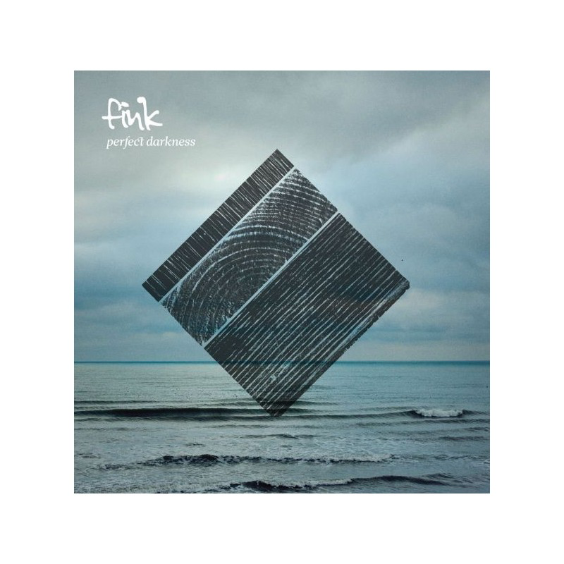 Perfect Darkness - Fink