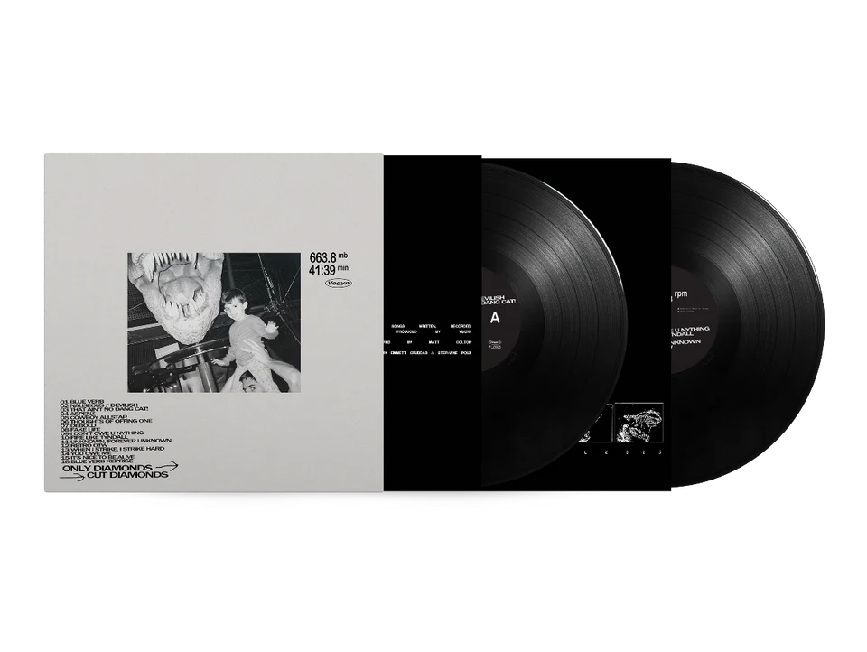 Only Diamonds Cut Diamonds (5 Year Anniversary Repress) - Vegyn