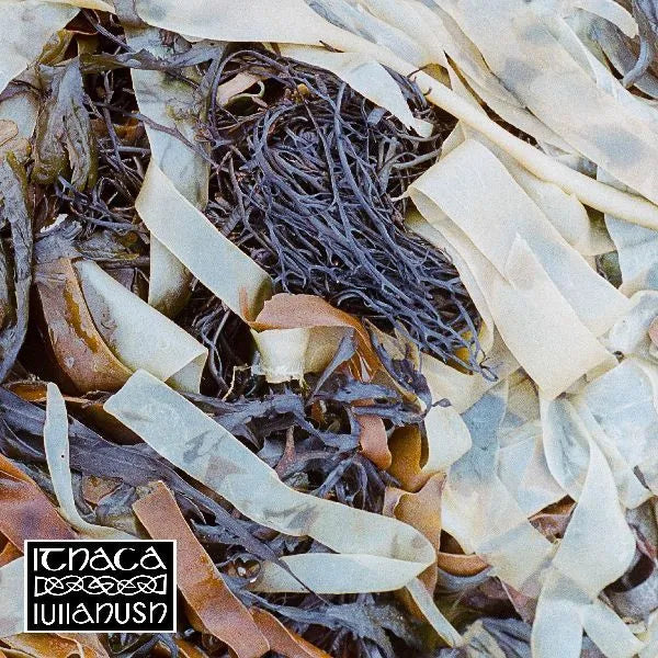 Ithaca - Lullahush