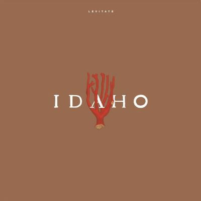 Levitate - Idaho
