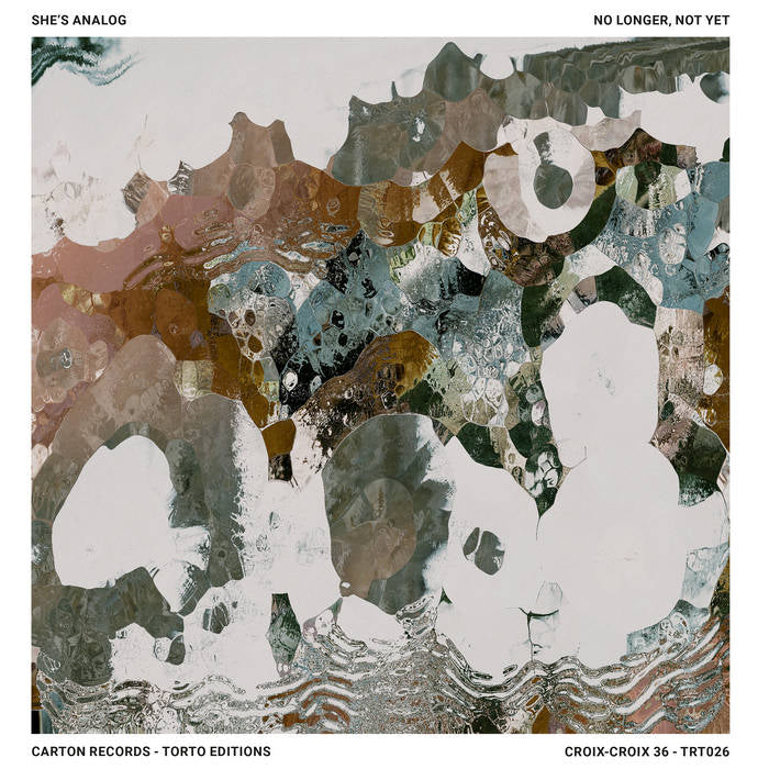 No Longer, Not Yet - She's Analog