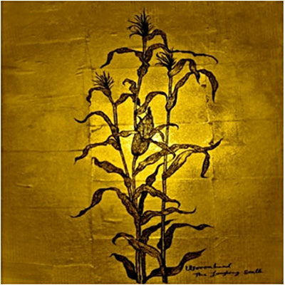 The Laughing Stalk - Woven Hand