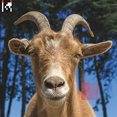Dev - Agoria