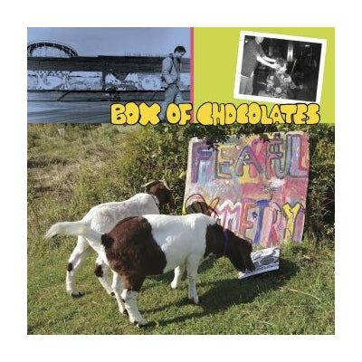 Fearful Symmetry - Box of Chocolates