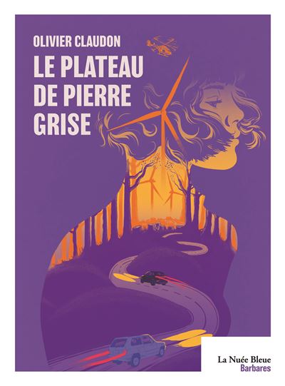 Le plateau de pierre grise - Olivier Claudon