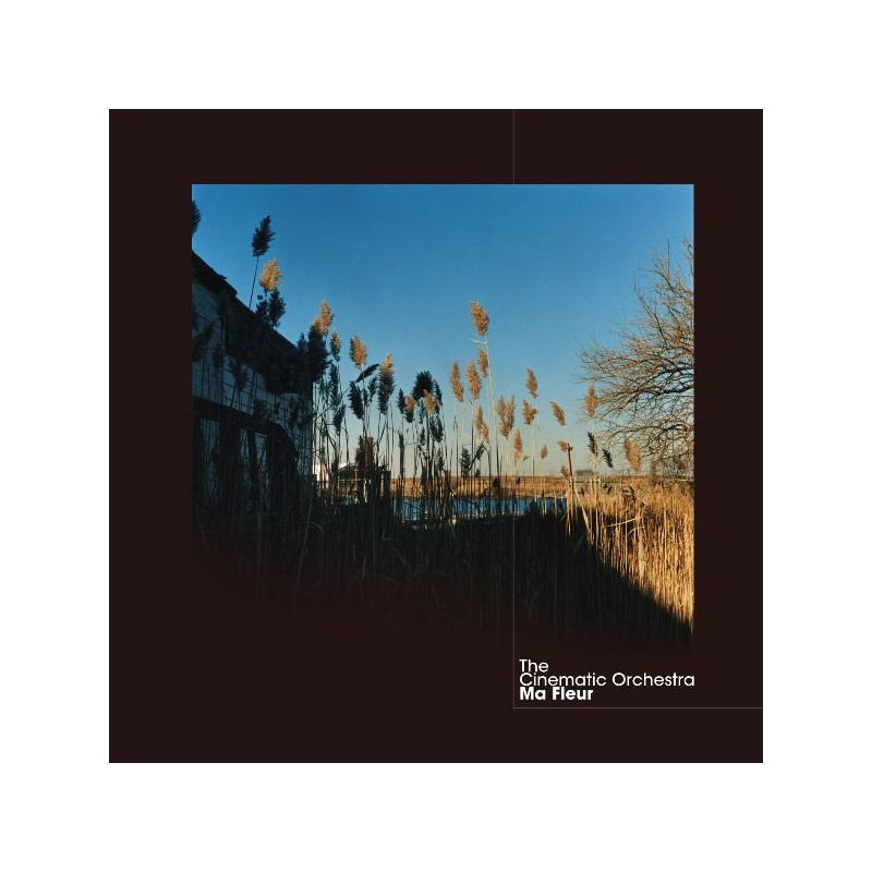 Ma fleur - The Cinematic Orchestra