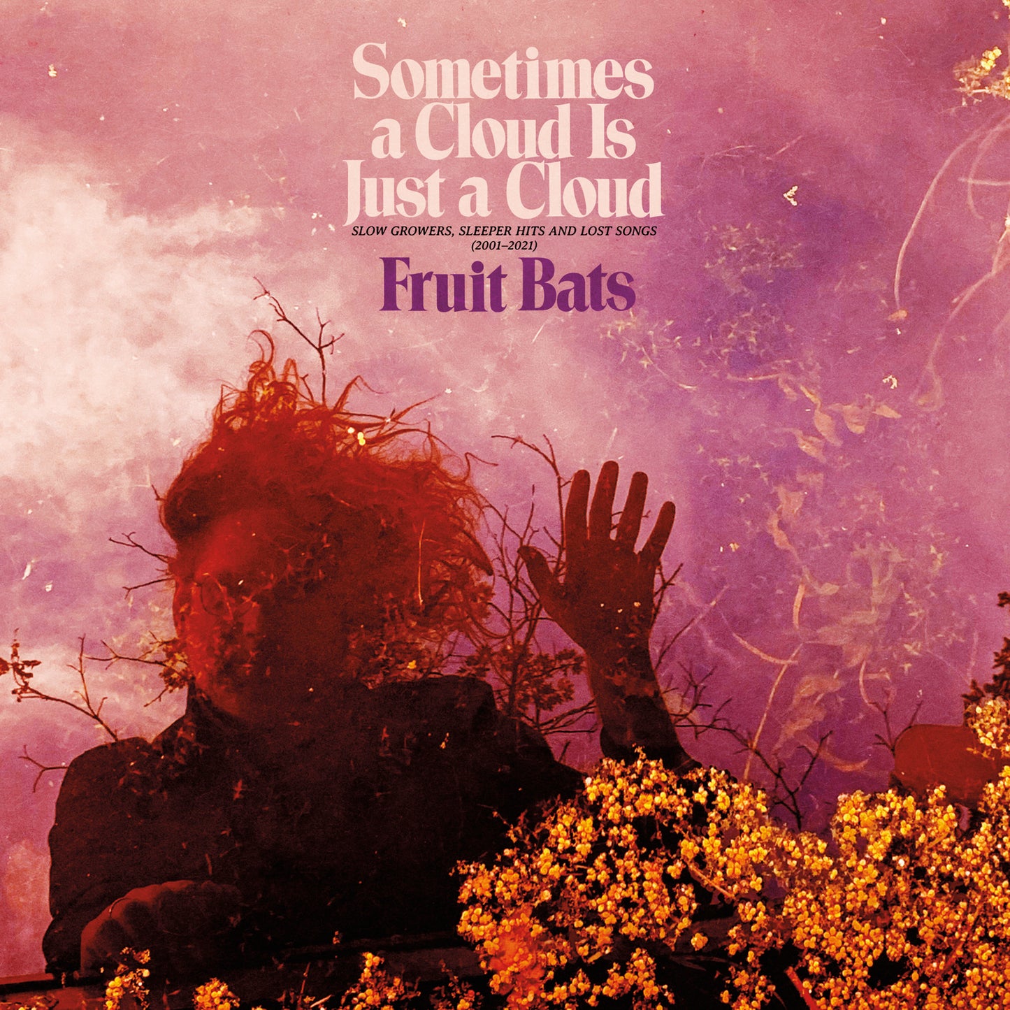 Sometimes a Cloud Is Just a Cloud - Fruit Bats