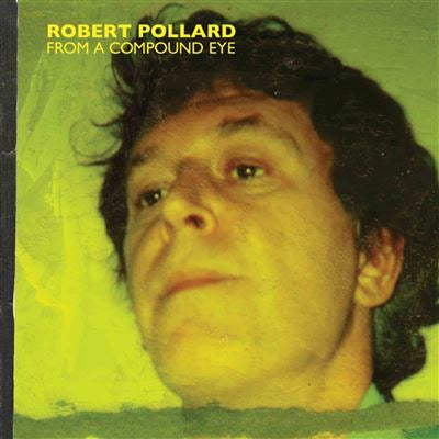 From A Compound Eye - Robert Pollard