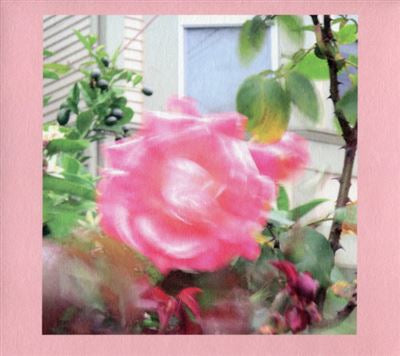 Summer at Land’s End - The Reds, Pinks and Purples