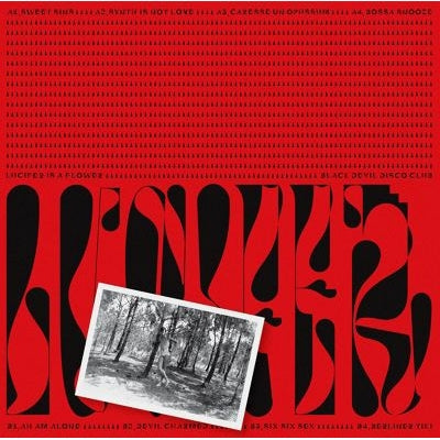 Lucifer is A Flower- Black Devil Disco Club