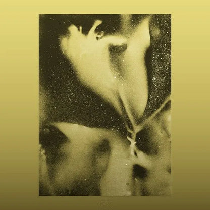 1983 - Flying Lotus
