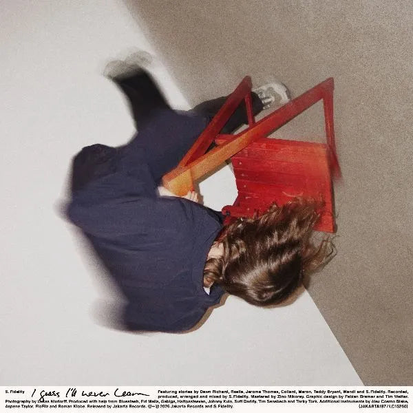 I Guess I'll Never Learn - S. Fidelity