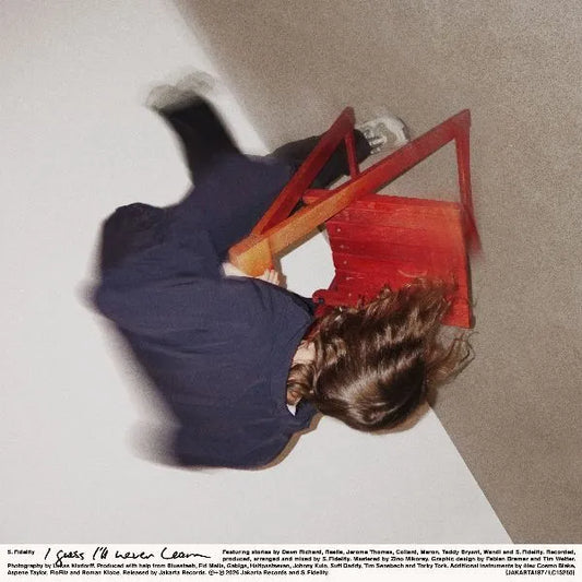 I Guess I'll Never Learn - S. Fidelity