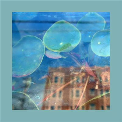 Acknowledge Kindness - The Reds, Pinks and Purples