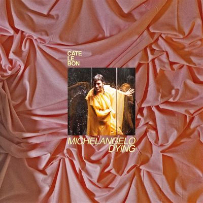 Michaelangelo Dying - Cate Le Bon
