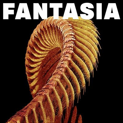 Fantasia - Slift