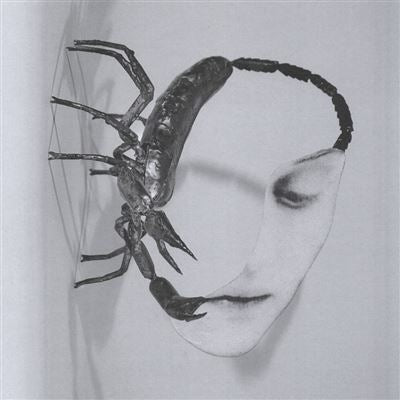 Touch - Tortoise