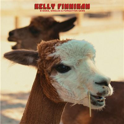 B-Sides, Singles & Forgotten Gems - Kelly Finnigan
