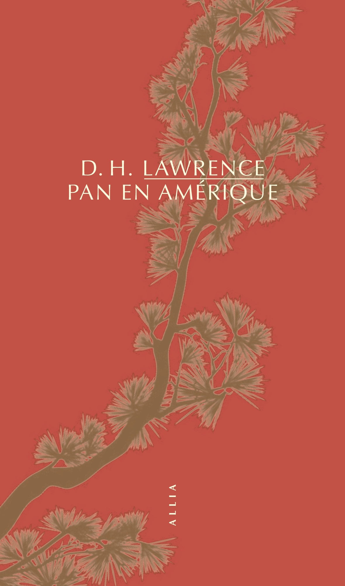 Pan en Amérique - David Herbert Lawrence