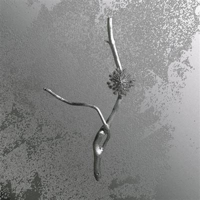 La Maccaia - Gaia Banfi