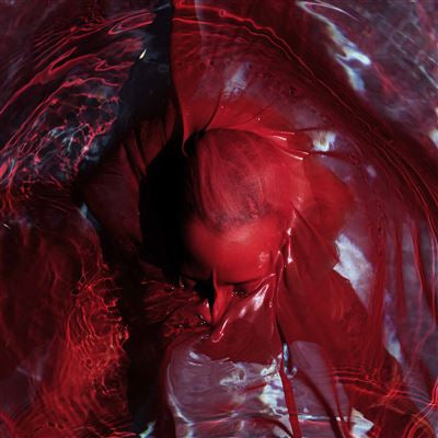 Not Here Not Gone - Blackwater Holylight