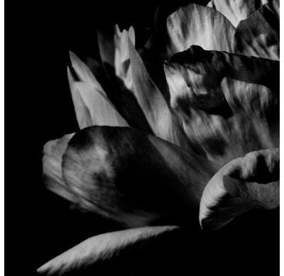 Là où passe la nuit - Louise Roam