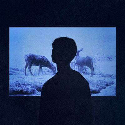 Memory - Jumo