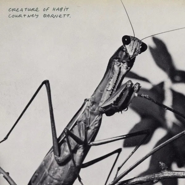 Creature of Habit - Courtney Barnett