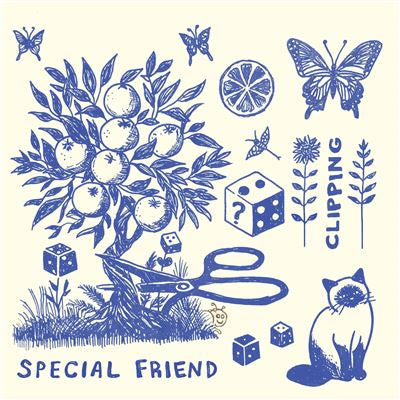 Clipping - Special Friend