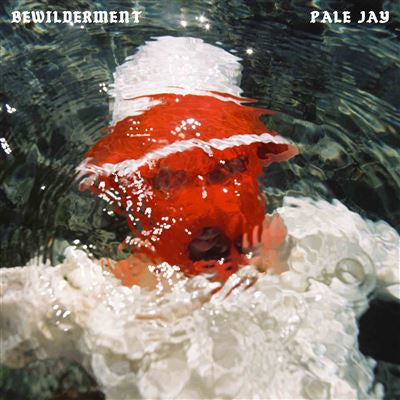 Bewilderment - Pale Jay