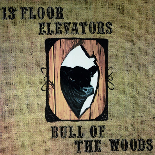 The 13th Floor Elevators - Bull Of The Woods