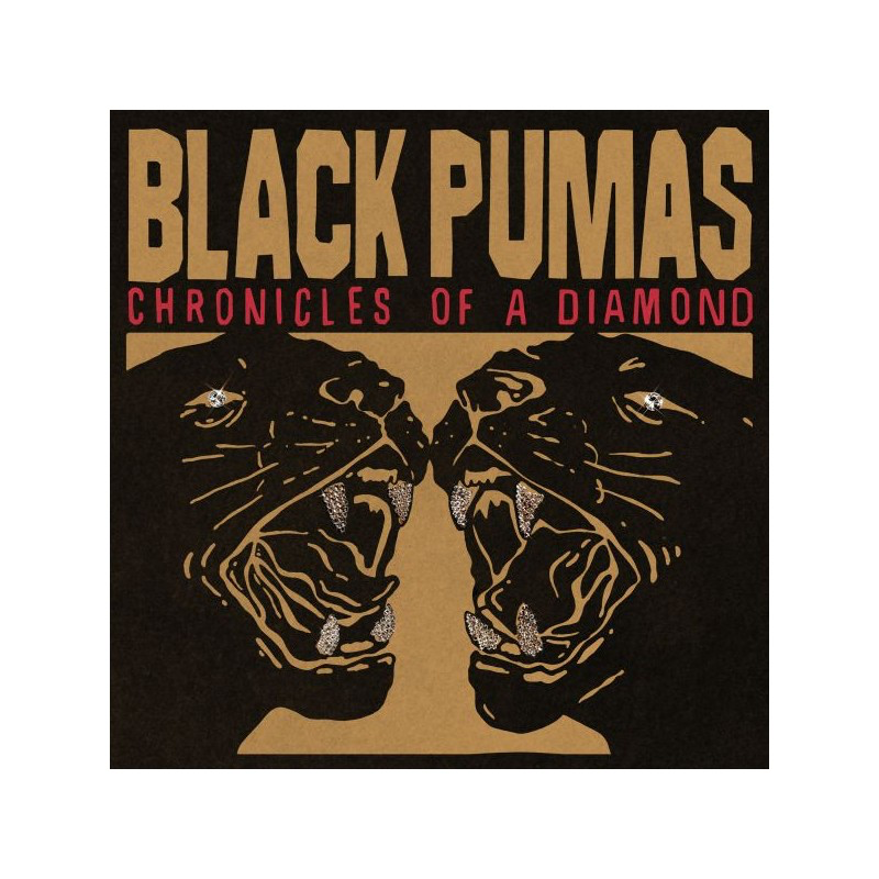 Chronicles of a diamond - Black Pumas