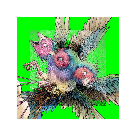 Hatch - Gouldian Finch