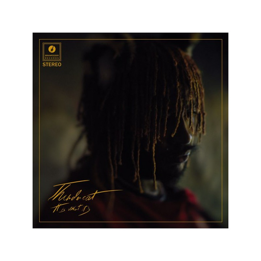 It Is What It Is - Thundercat