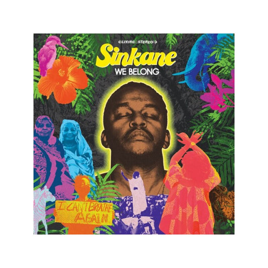 We Belong - Sinkane