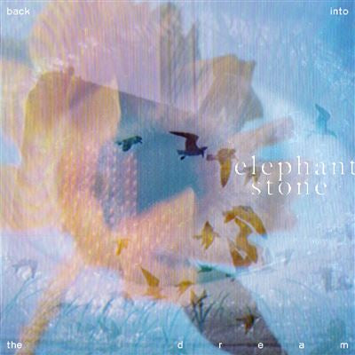Back Into The Dream - Elephant Stone