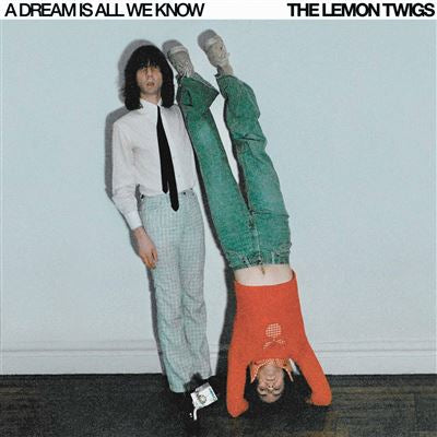A Dream Is All We Know - The Lemon Twigs