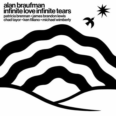 Infinite Love Infinite Tears - Alan Braufman