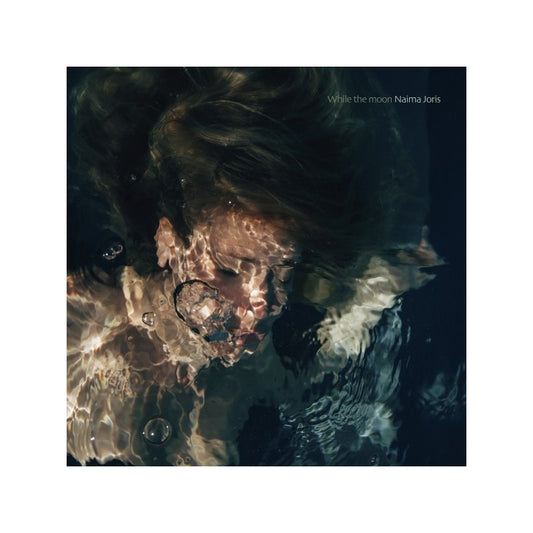 While the moon - Naima Joris