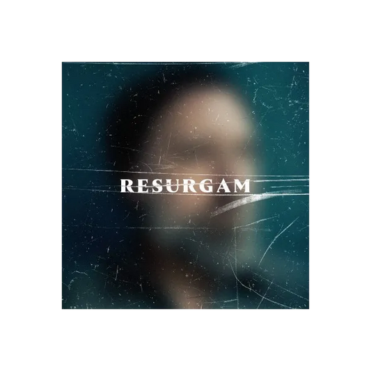 Resurgam - Fink