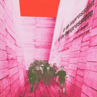 In An Expression Of The Inexpressible - Blonde Redhead