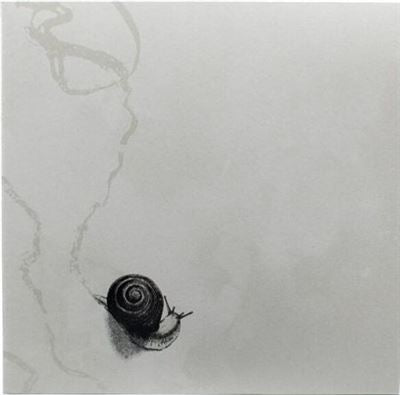 Deep Below - Rats on Rafts