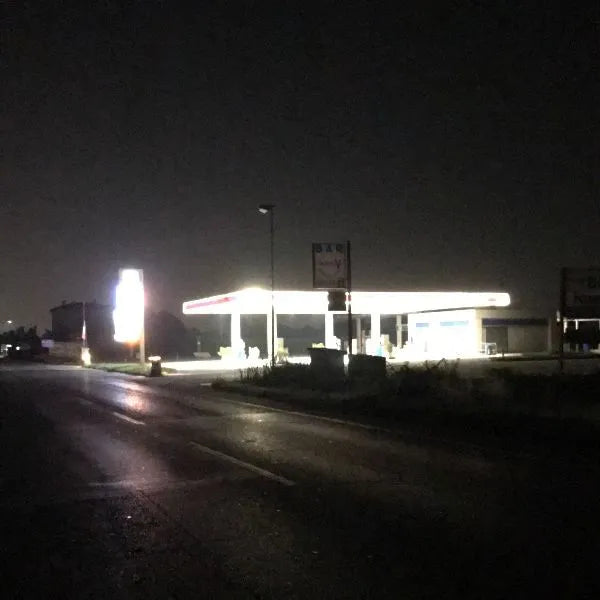Joseph, What Have you Done? - Rainy Miller