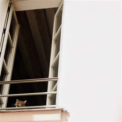 Something Soft - M(H)Aol