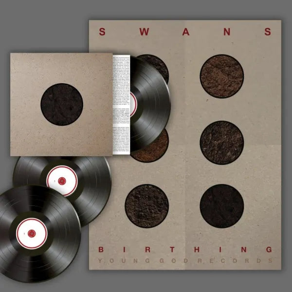 Birthing - Swans