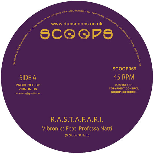 R.A.S.T.A.F.A.R.I. - Vibronics feat Professa Natty