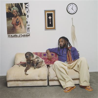 13 Months Of Sunshine - Aminé