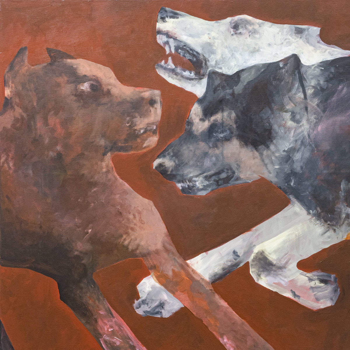 Bad Dogs - 81355
