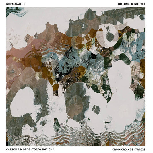 No Longer, Not Yet - She's Analog